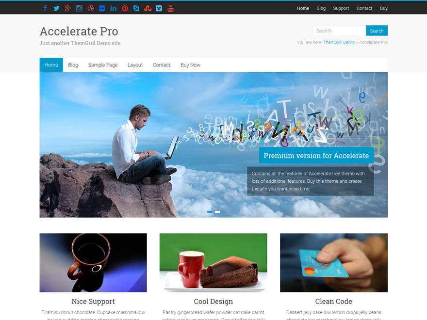 Accelerate Pro website example screenshot
