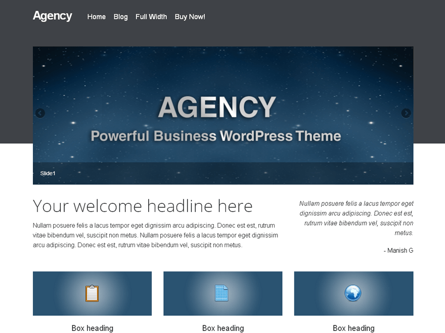 Agency Theme website example screenshot