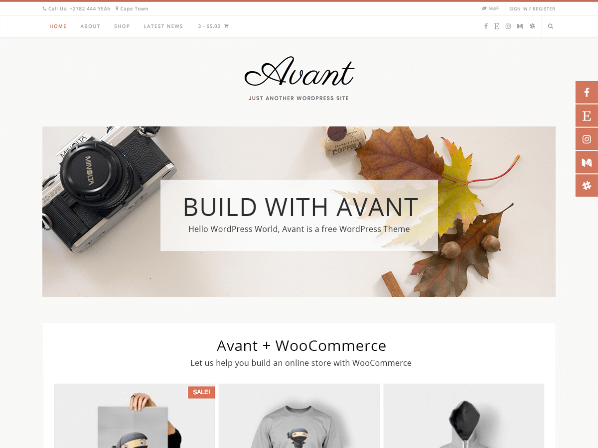 Avant website example screenshot