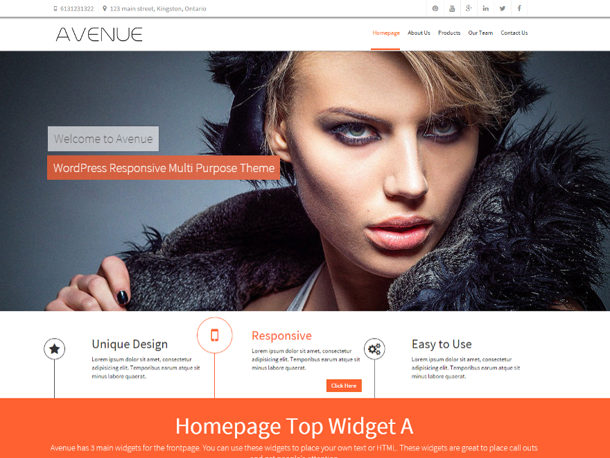avenue theme websites examples