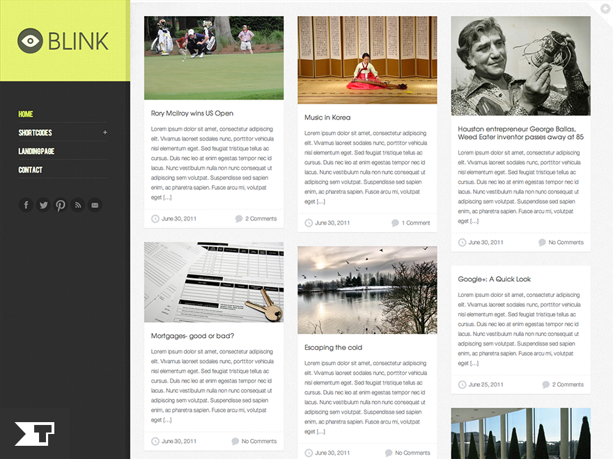 Blink website example screenshot