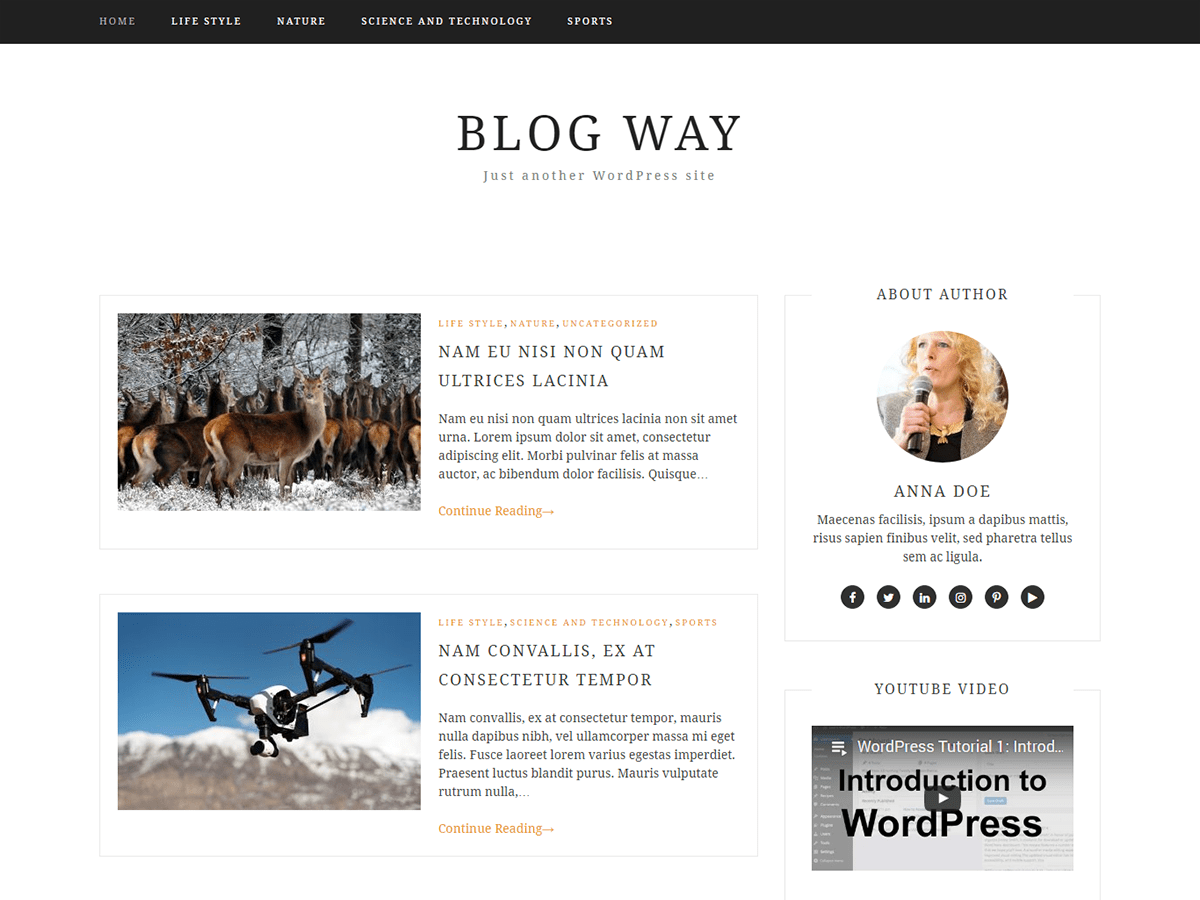 Blog Way website example screenshot