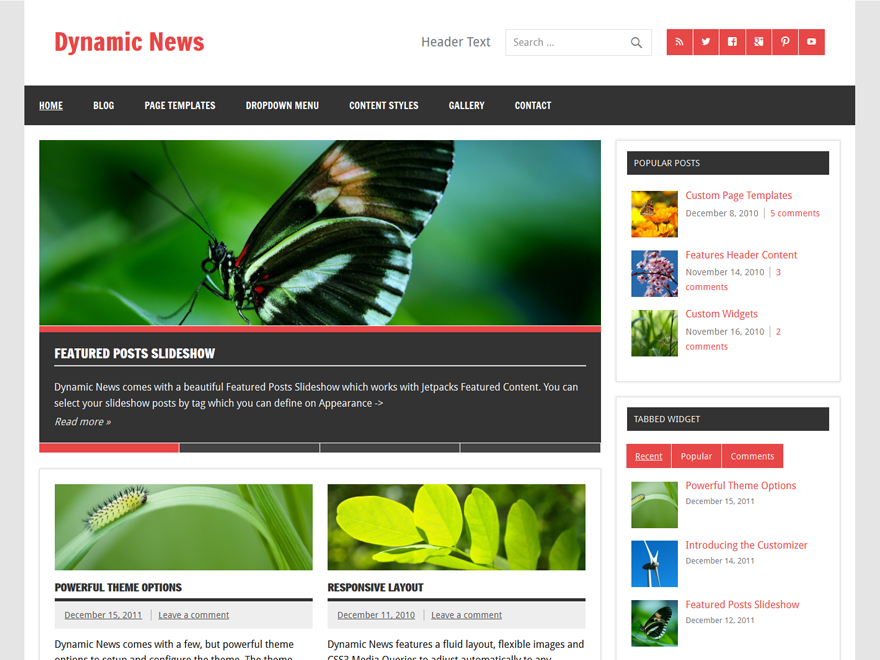 Dynamic News Lite theme websites examples