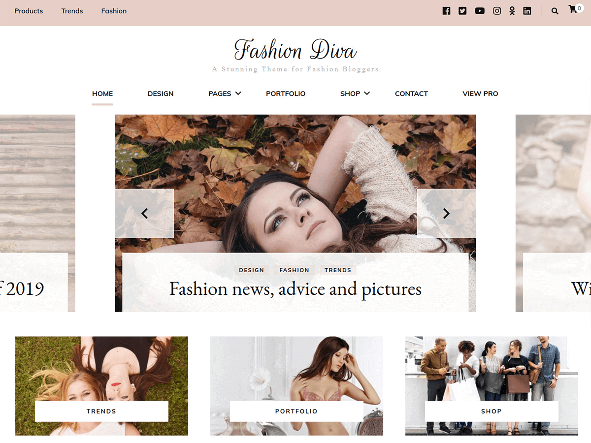 Fashion Diva website example screenshot