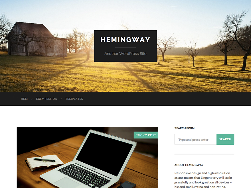 Hemingway website example screenshot