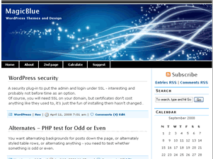 magicblue website example screenshot