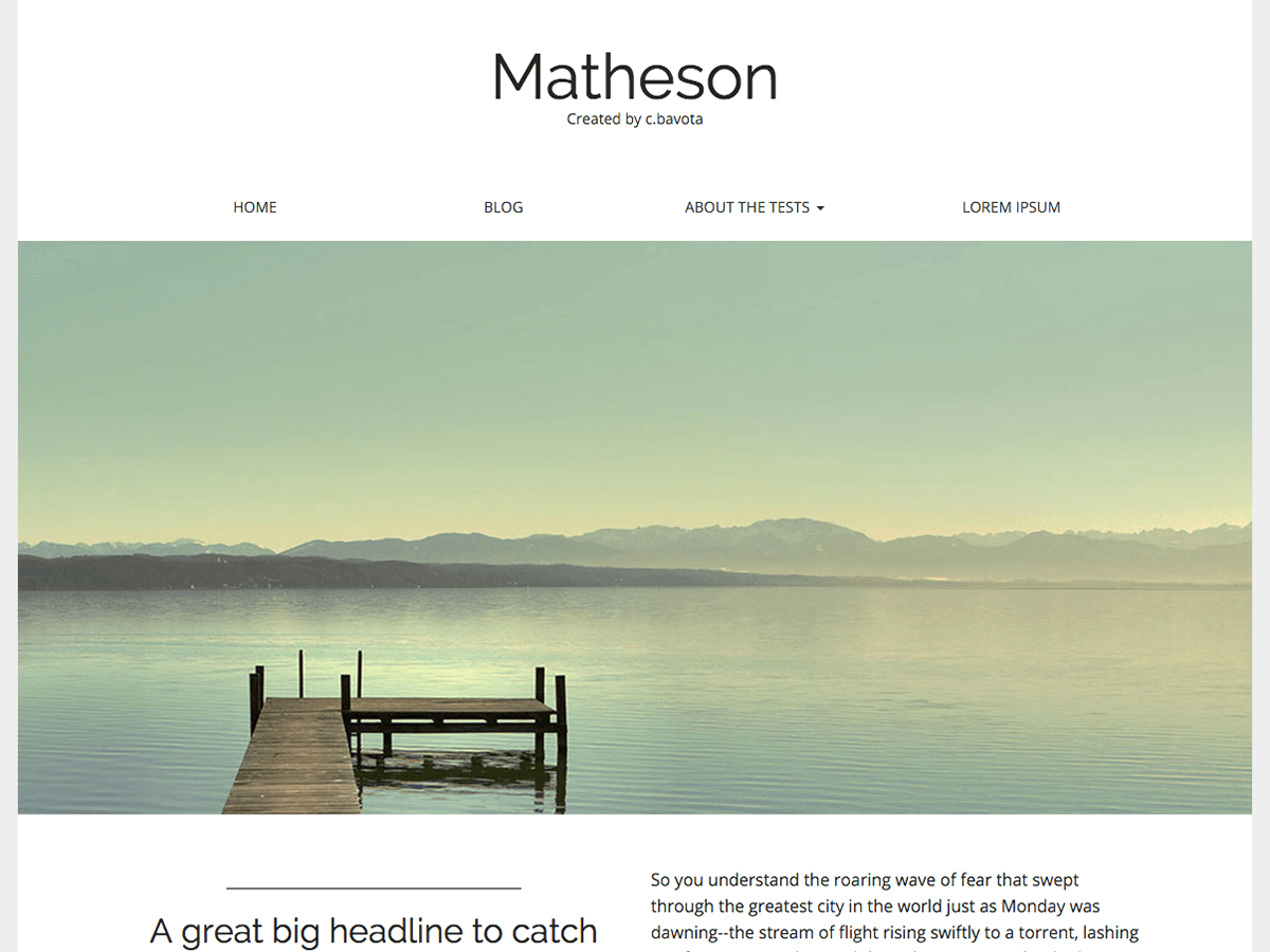 Matheson website example screenshot