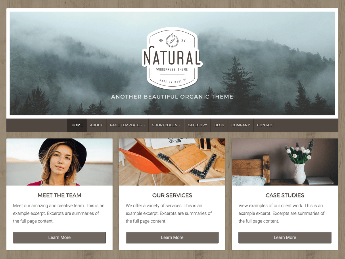 Natural Lite website example screenshot