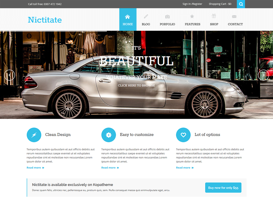 Nictitate website example screenshot