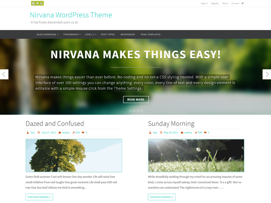 Nirvana website example screenshot