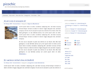 picochic website example screenshot