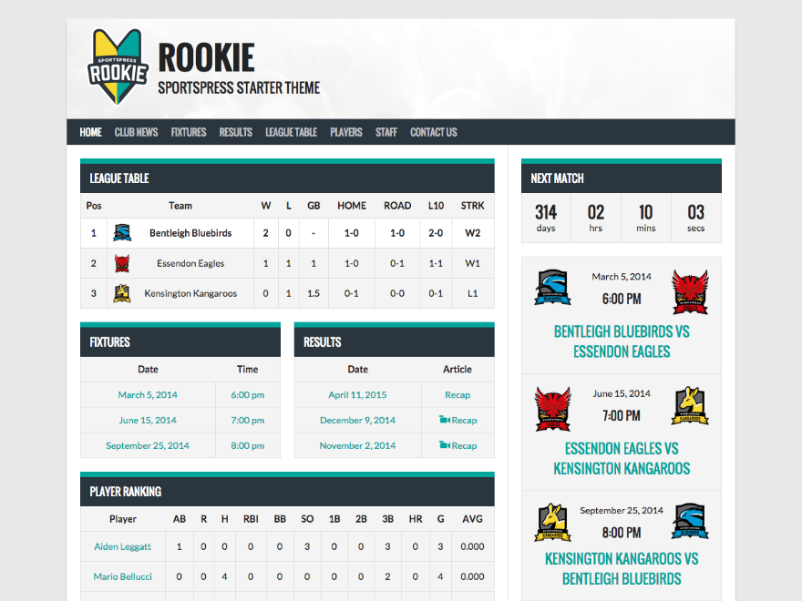 Rookie website example screenshot
