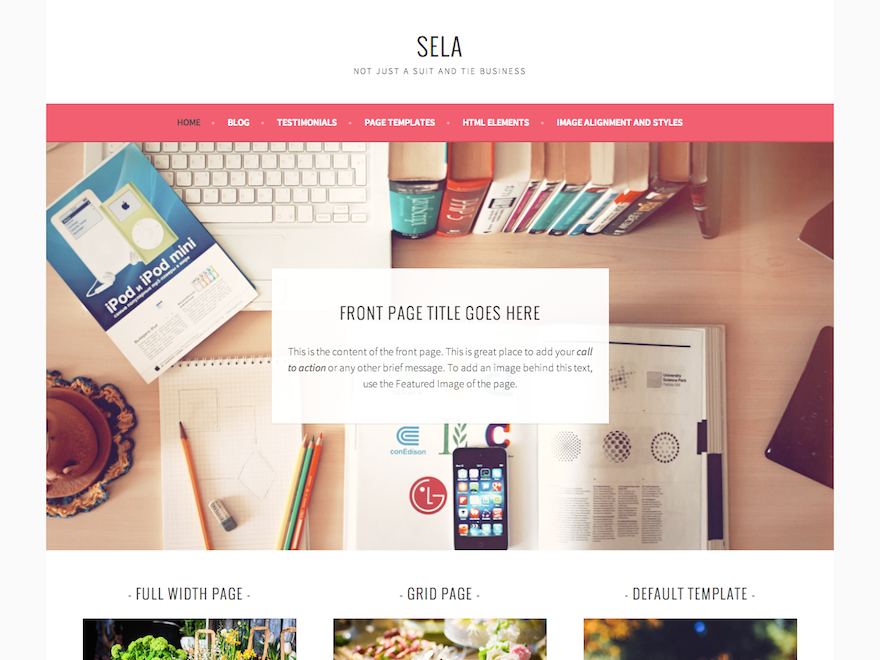 Sela website example screenshot
