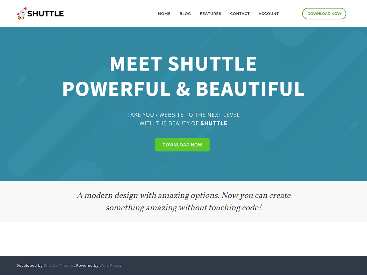 Shuttle website example screenshot