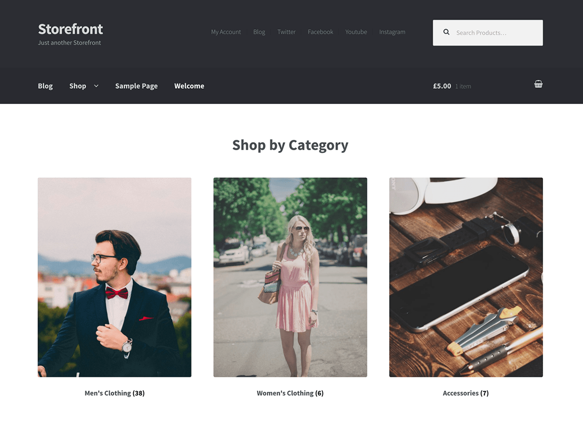 Storefront theme websites examples