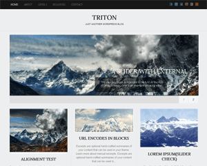 Triton Lite website example screenshot