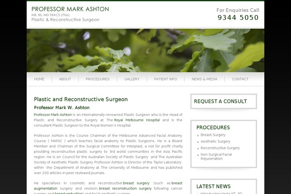 ashtonplasticsurgery.com.au site used Ashton