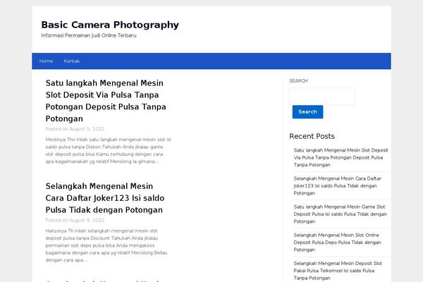 basiccameraphotography.com site used NewsPaperly