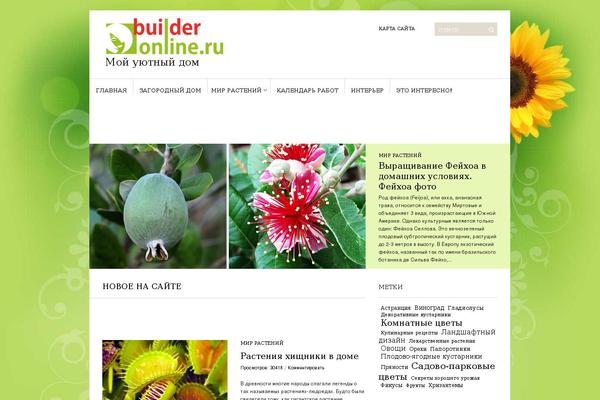builderonline.ru site used Sight