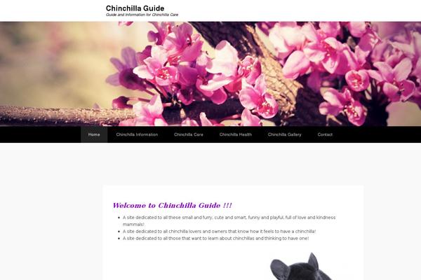 chinchillaguide.com site used Adventurous