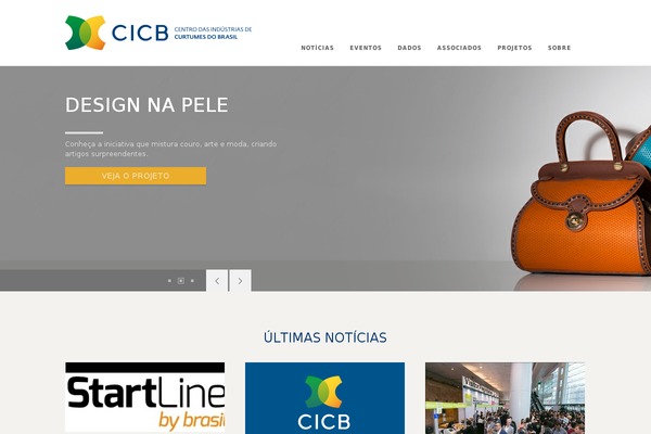 cicb.org.br site used Lucidpress