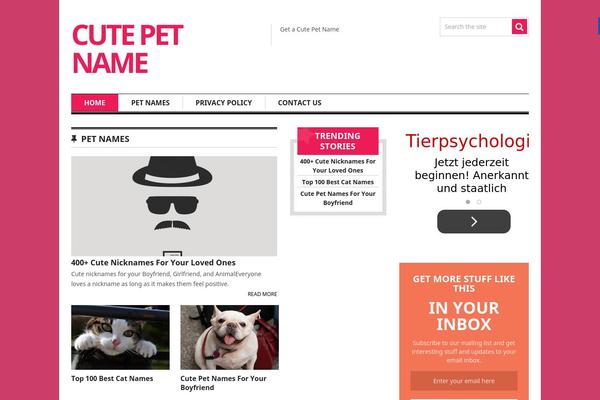 NewsPaper theme site design template sample