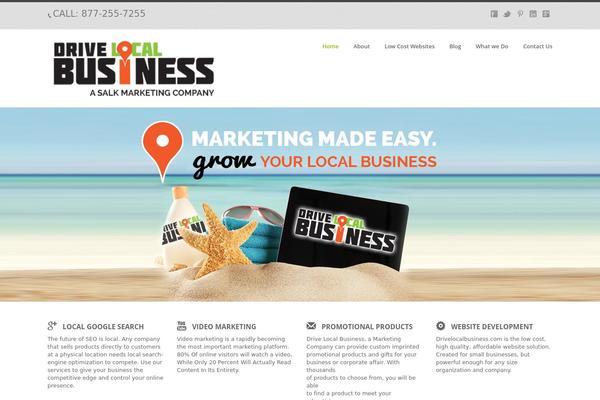 drivelocalbusiness.com site used Gt3-wp-dixit