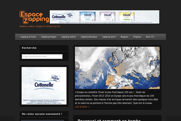 espace-zapping.com site used Frontpage