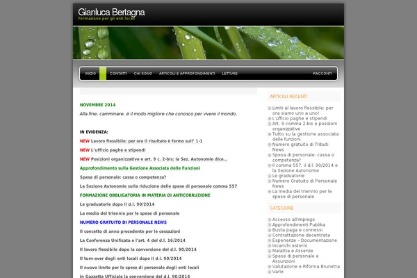 Freshy theme site design template sample