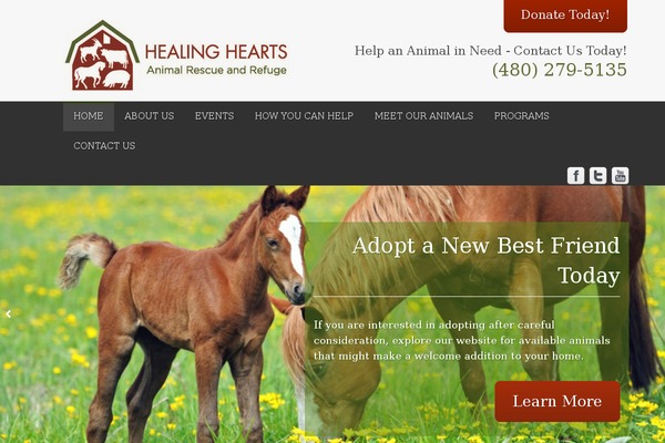 healingheartsaz.org site used Peddlar