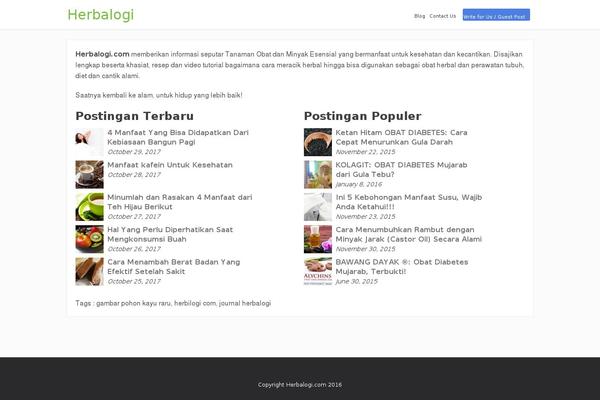 MinimalistBlogger theme site design template sample