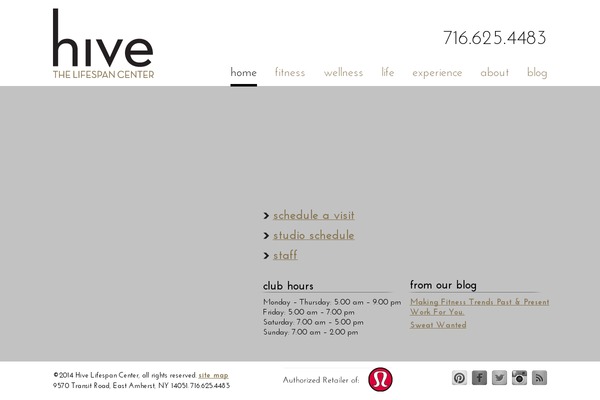 Hive theme site design template sample