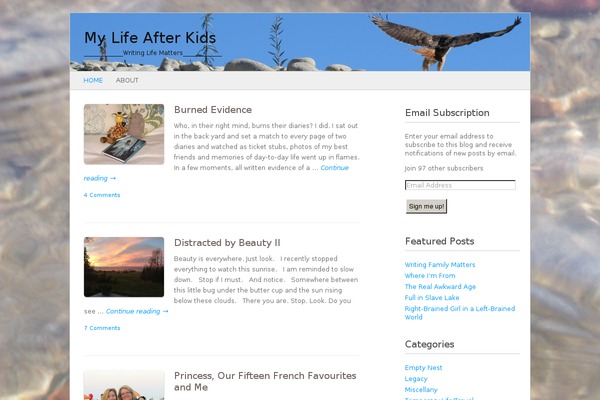 Fresh & Clean theme site design template sample
