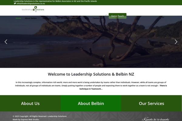 leadershipsolutions.co.nz site used BeTheme Child