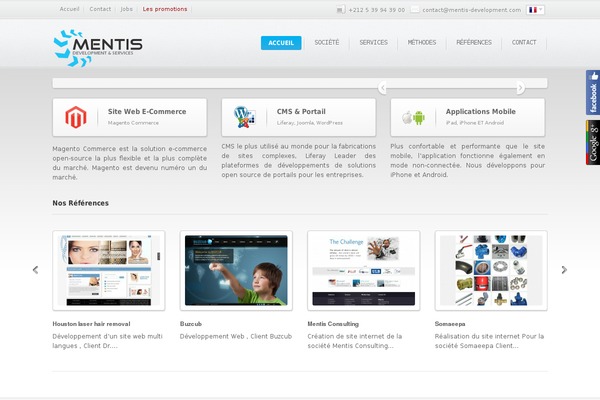 Mentis website example screenshot