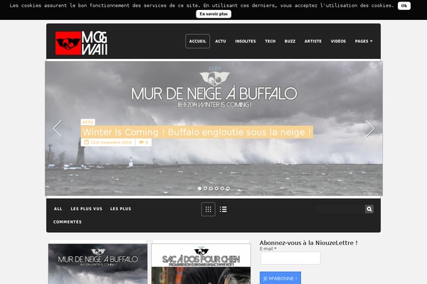 Maxwell theme site design template sample