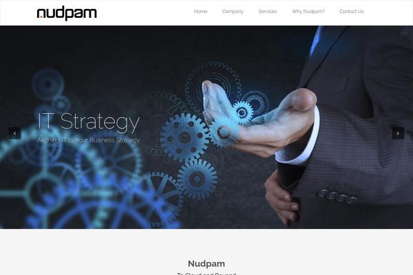 nudpam.com site used Twenty Seventeen