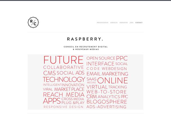 raspberry-conseil.com site used Equilibrium