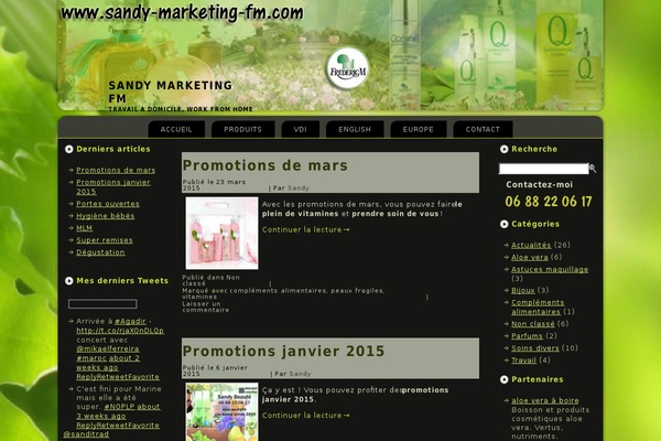 sandy-marketing-fm.com site used Sandy