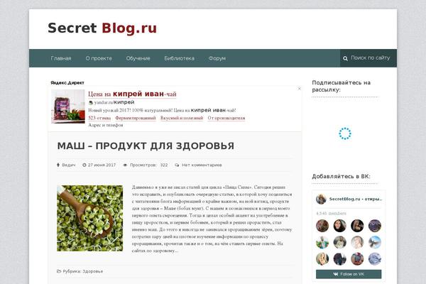 secretblog.ru site used NEWSmaker