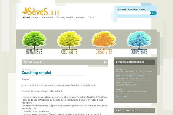 Splendio theme site design template sample