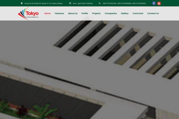 tokyobd.com site used Consulting