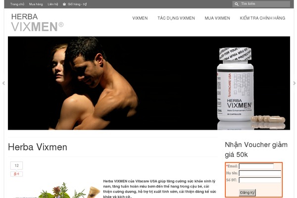 vixmen.com.vn site used Flatsome