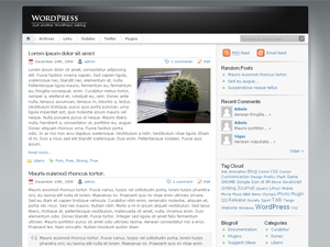 80 theme websites examples
