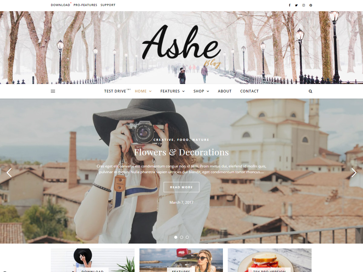 Ashe website example screenshot