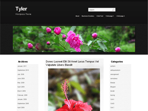 Tyler website example screenshot
