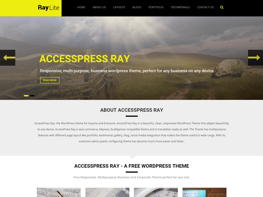 AccessPress Ray website example screenshot