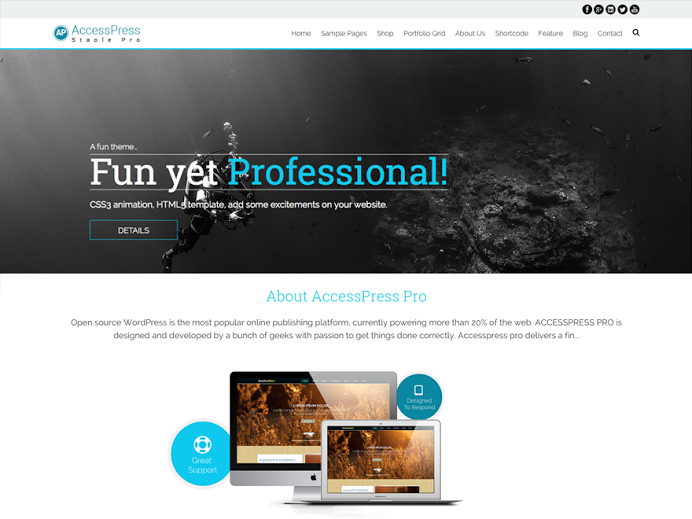 accesspress-staple-pro theme websites examples