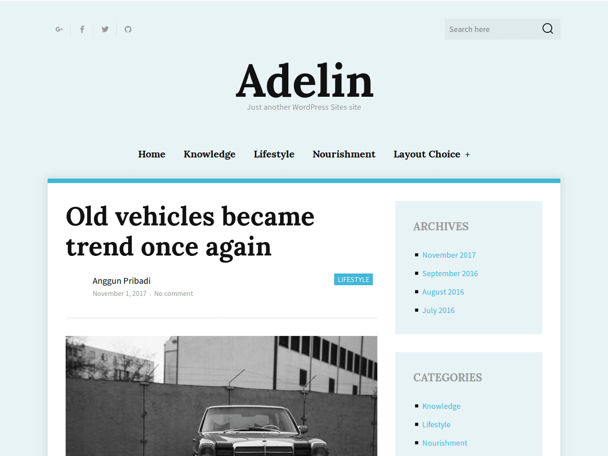 Adelin website example screenshot