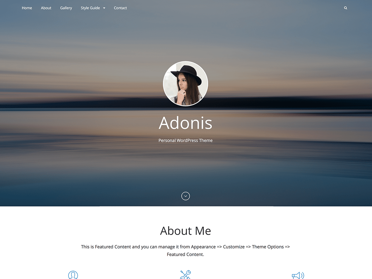 Adonis WordPress theme, websites list used Adonis theme Adonis theme websites examples